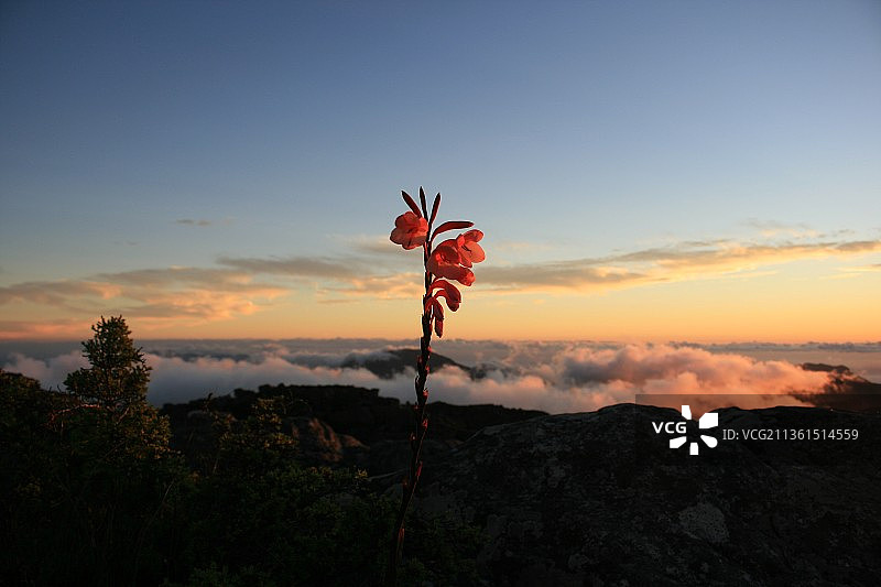 开普敦日落：山脉剪影的壮丽景色，南非开普敦图片素材