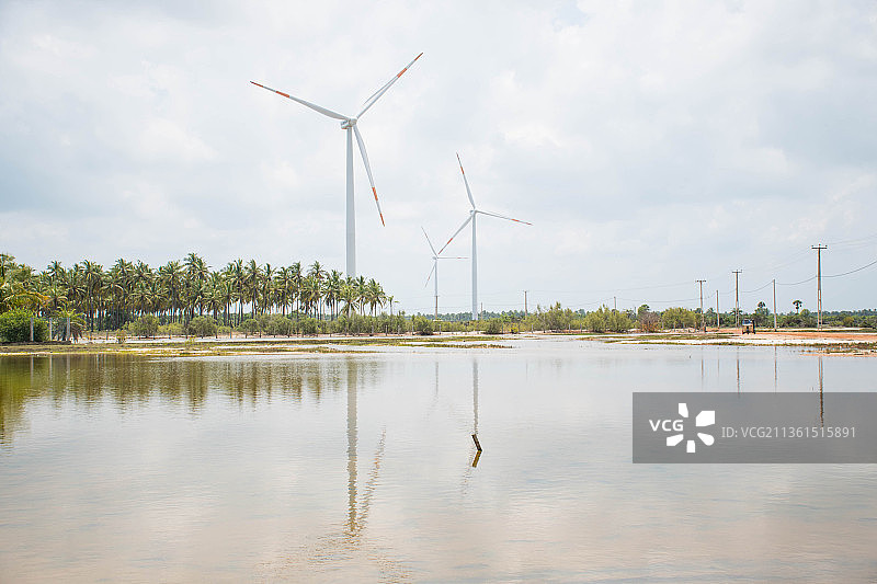 斯里兰卡卡尔皮蒂亚湖边风车的风景图片素材