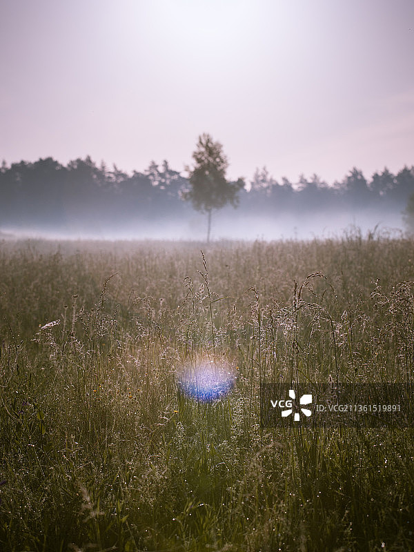 俄罗斯雾天田野日出极简风光图片素材