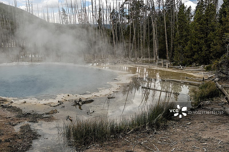 蓄水池泉：诺里斯间歇泉盆地怀俄明州温泉的风景图片素材
