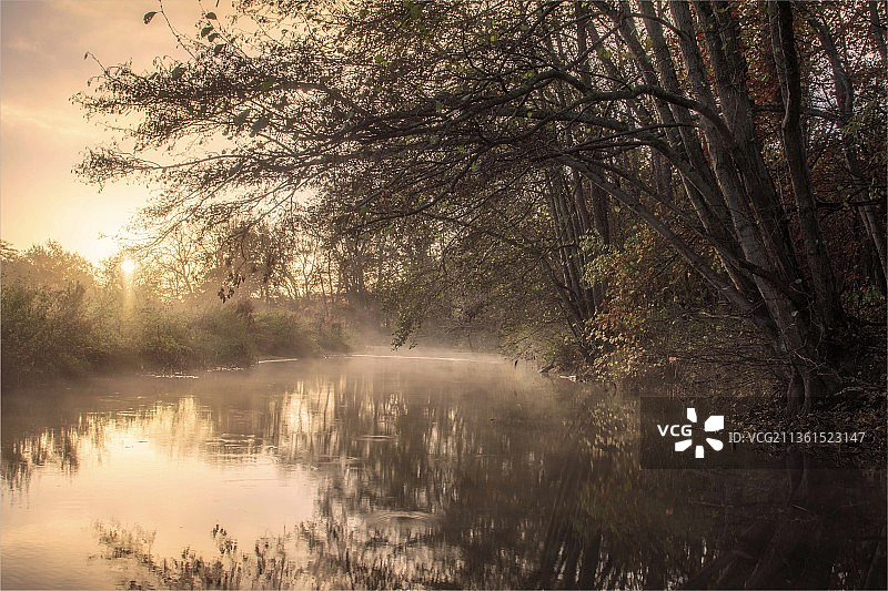 日落时分，塞特福德森林的湖光山色图片素材