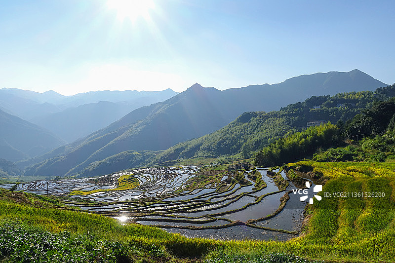福建尤溪联合梯田水田景观图片素材