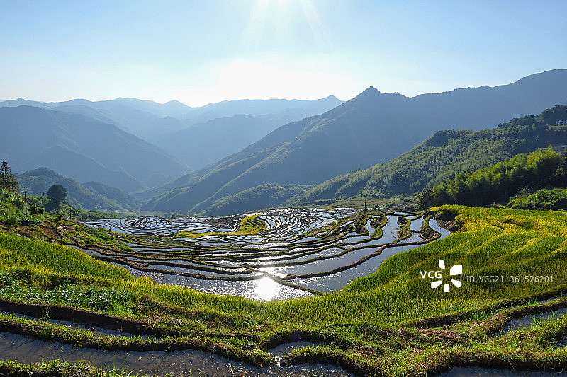 福建尤溪联合梯田水田景观图片素材
