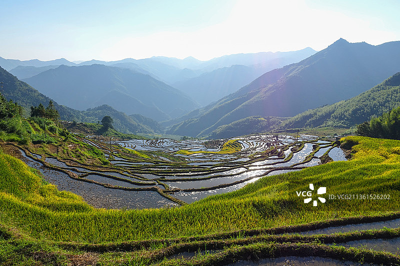 福建尤溪联合梯田水田景观图片素材