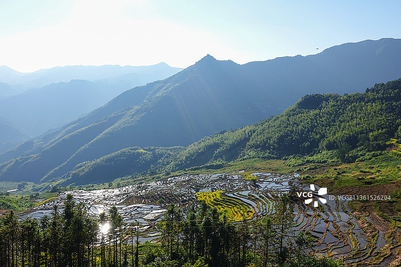 福建尤溪联合梯田水田景观图片素材