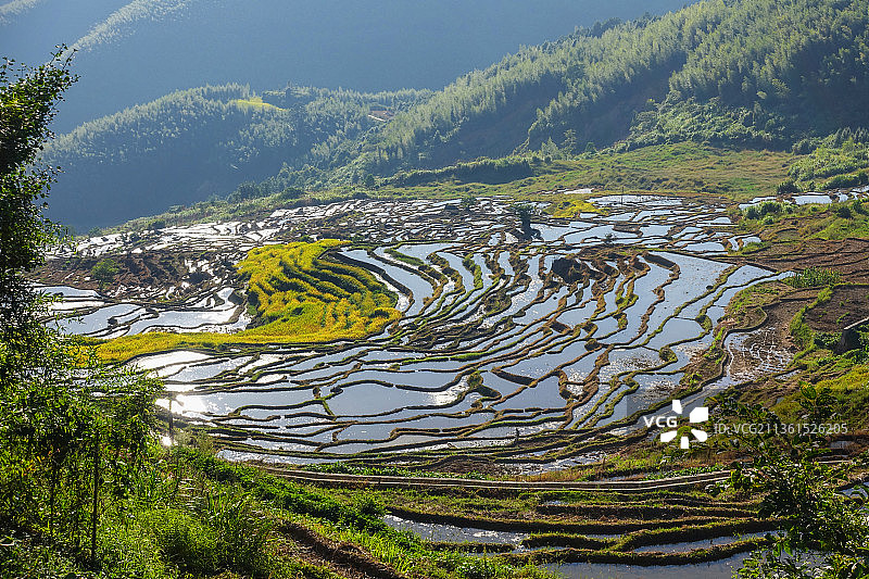 福建尤溪联合梯田水田景观图片素材