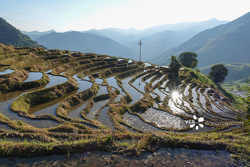 福建尤溪联合梯田水田景观图片素材