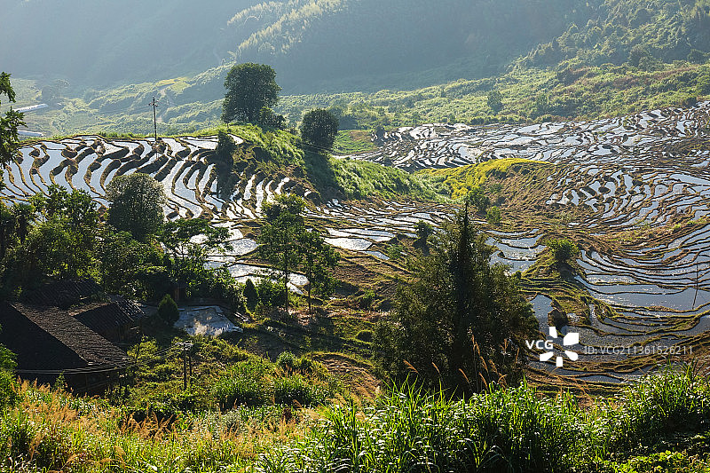 福建尤溪联合梯田水田景观图片素材