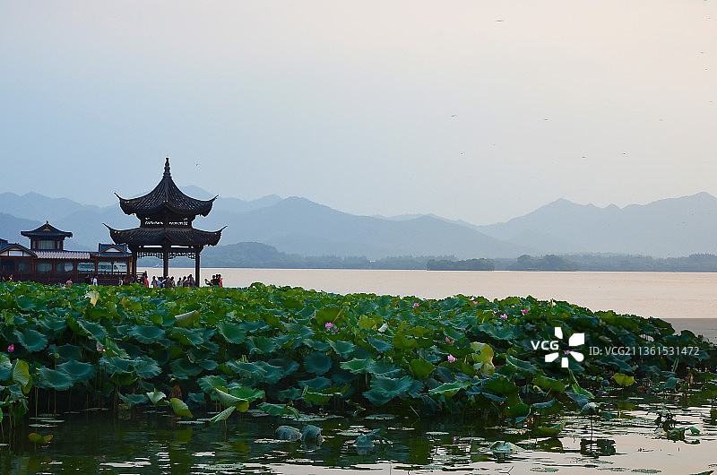 杭州西湖集贤亭图片素材