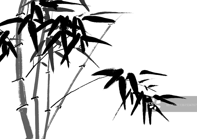 插画水墨竹子设计元素图片素材