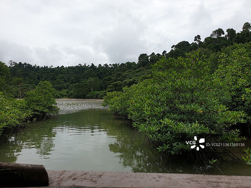 印度安达曼和尼科巴群岛的湖泊风光图片素材