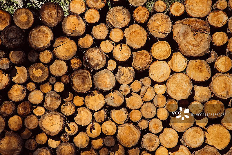 木头：意大利乌迪内萨帕达的木材图片素材