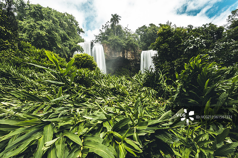 隐藏的瀑布，低角度仰望天空中的树木，米西奥内斯省，阿根廷图片素材
