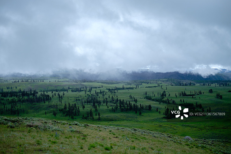 对着天空的风景图片素材