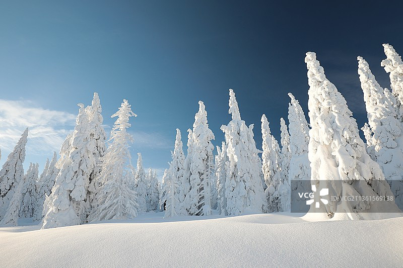 白雪覆盖的土地全景图片素材