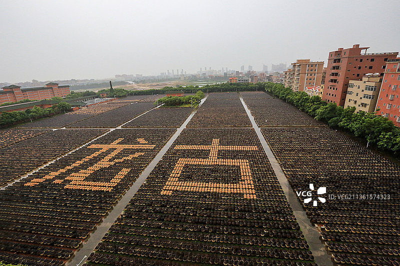 福建厦门古龙酱文化园图片素材