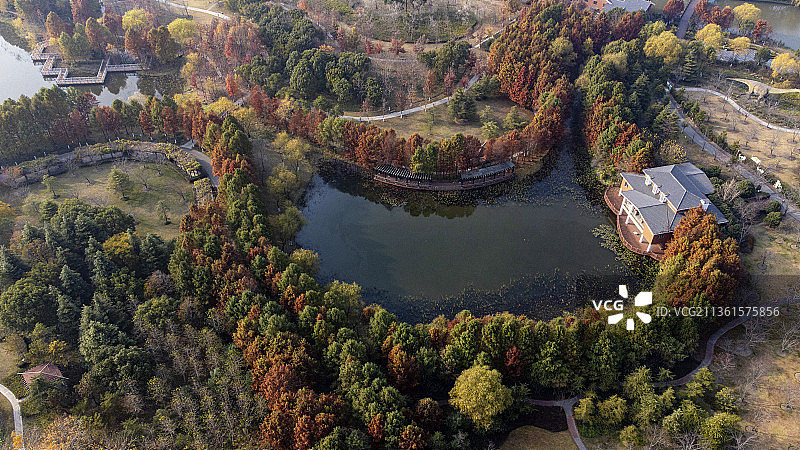 俯瞰顾村公园秋景图片素材