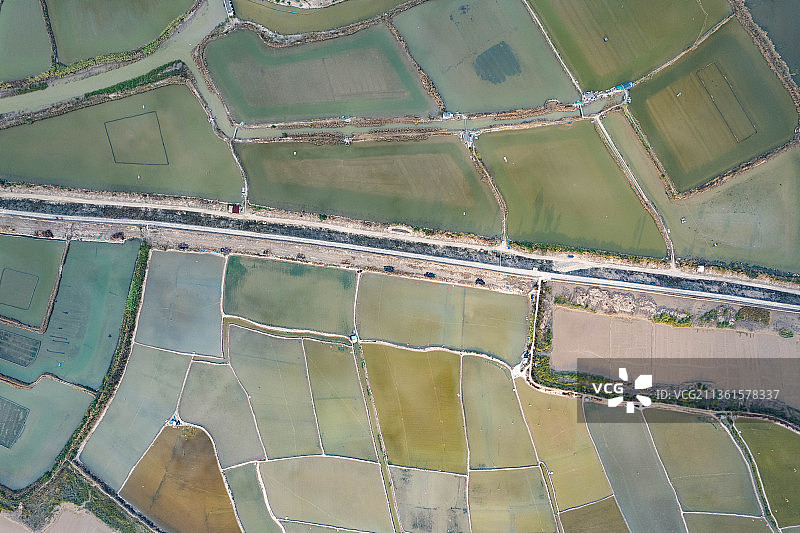 航拍台州市三门县海上森林滩涂湿地图片素材