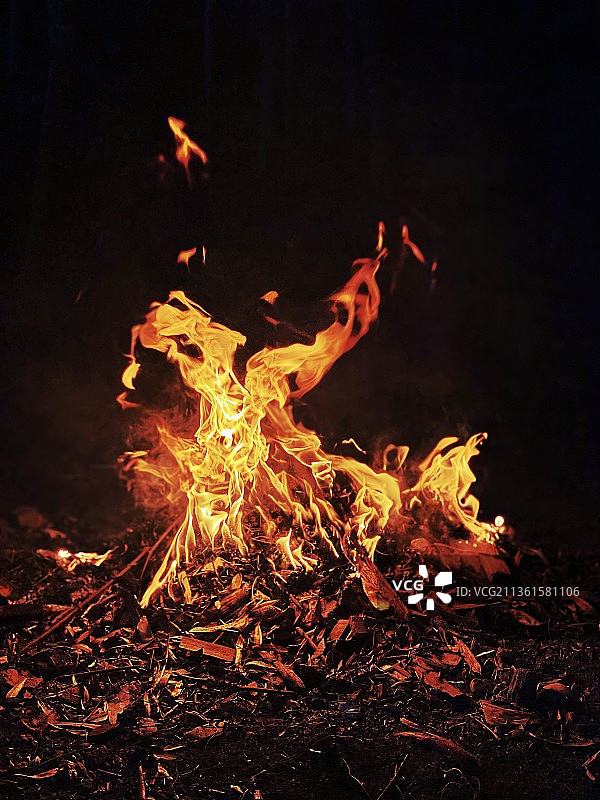 夜间篝火图片素材