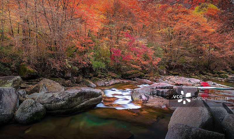 光雾山秋色图片素材