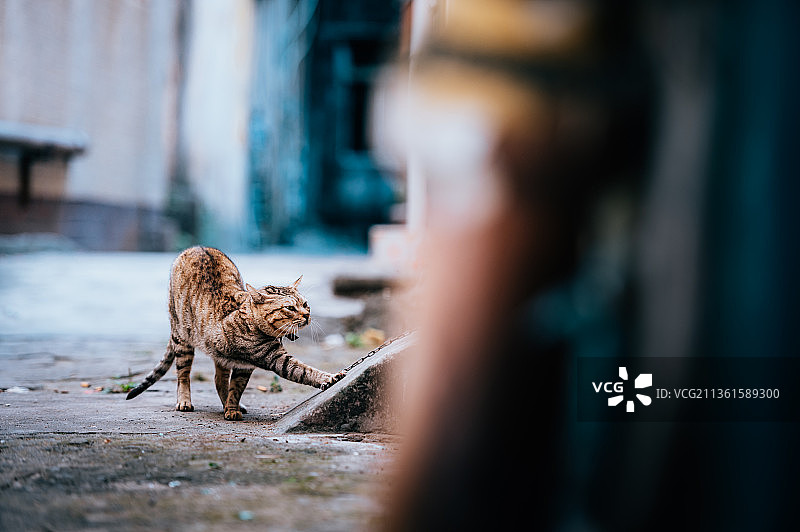 开平城市风光风景风貌图片素材
