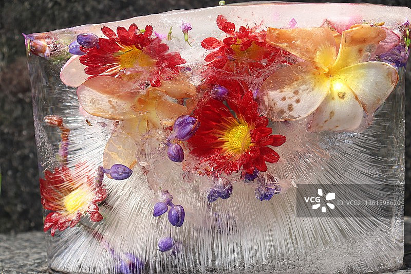 冰冻的鲜花，高角度看桌子上花瓶里的鲜花图片素材