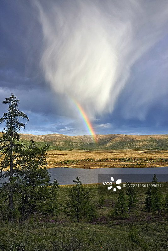 森林河流上空的彩虹和云朵图片素材