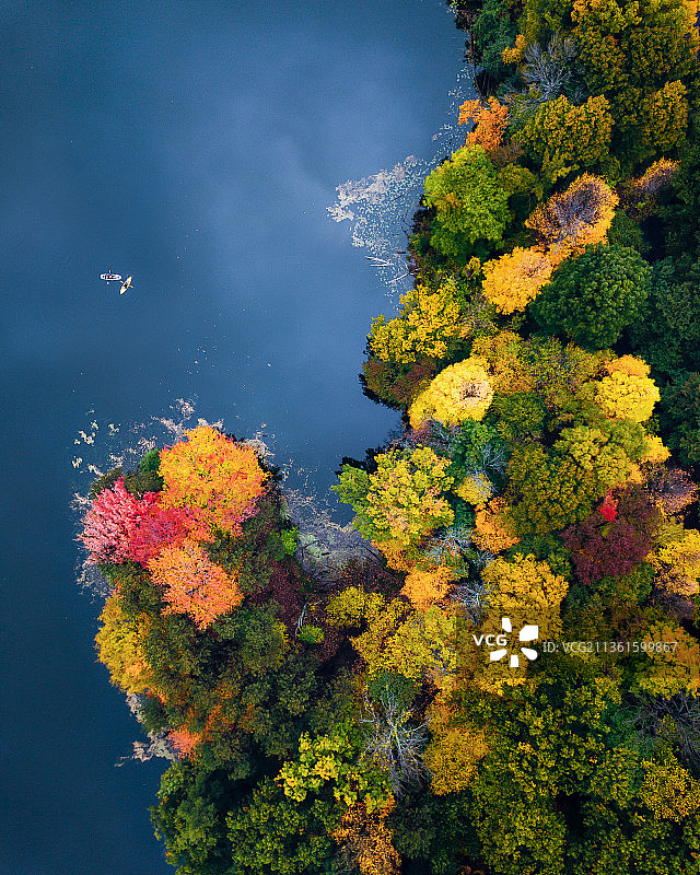 纽约罗切斯特秋季树木鸟瞰图图片素材