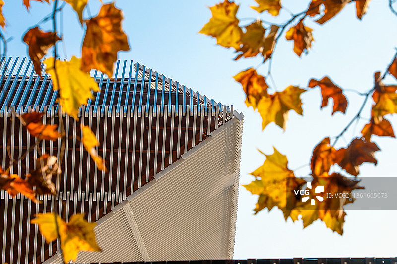 重庆大学虎溪体育馆图片素材