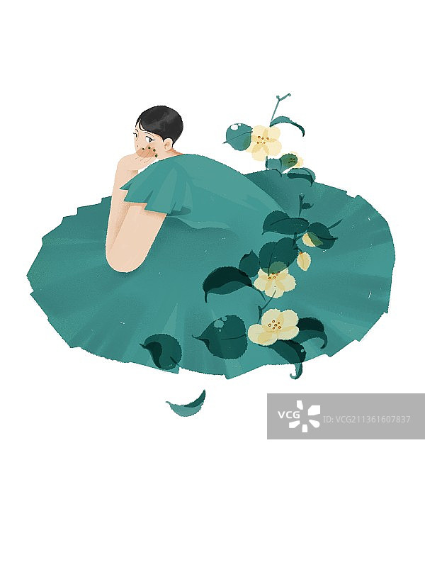 24节气小雪野山茶插画图片素材