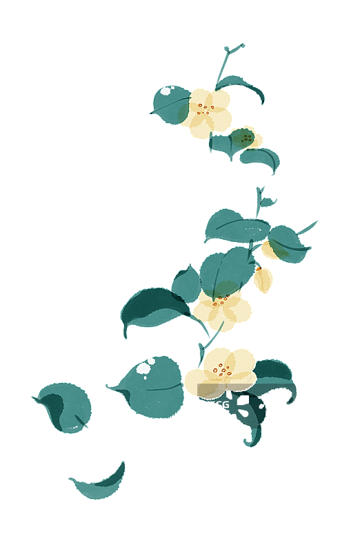 野山茶花手绘插画元素图片素材