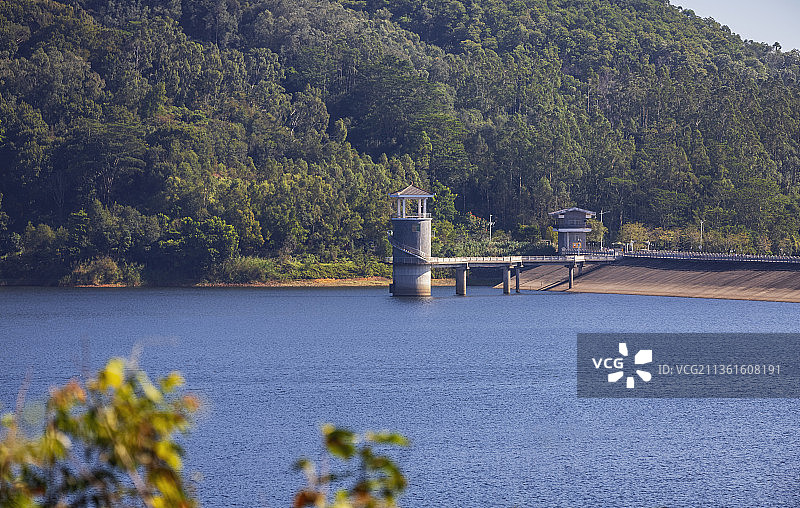 东莞清溪湖森林公园风景图片素材