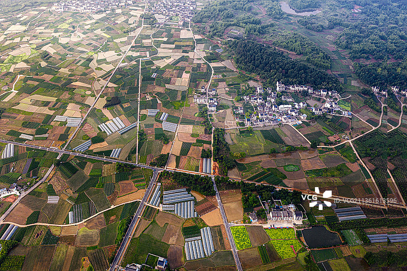 江南春早图片素材