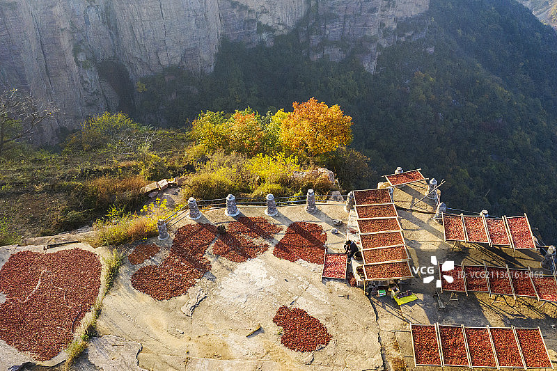 悬崖上晾晒的山楂片图片素材