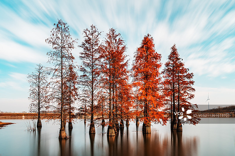 止马岭的秋图片素材