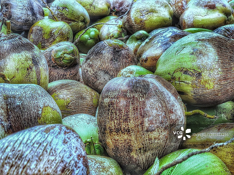 印度帕拉尼的嫩椰子和鳄梨图片素材