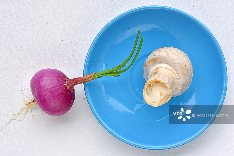 法国白色双孢蘑菇图片素材