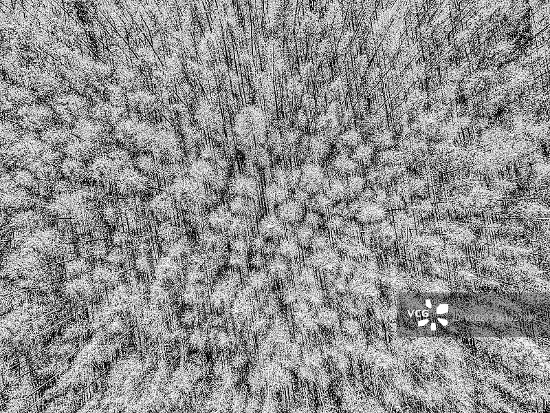 木林森图片素材