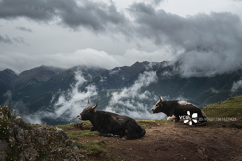西藏孜珠寺风光图片素材