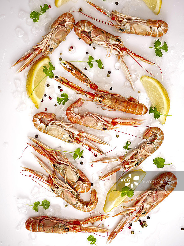新鲜海螯虾与香菜柠檬图片素材