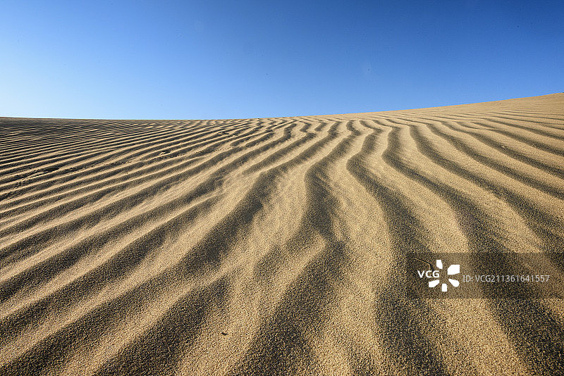 印度拉贾斯坦邦赖马拉沙漠风光图片素材
