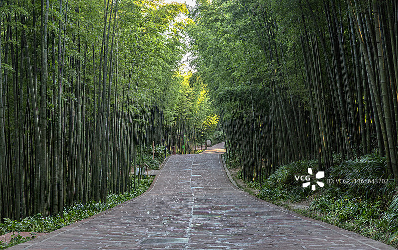 宁静的翡翠长廊图片素材