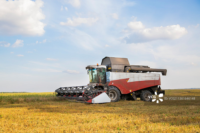 老式联合收割机在田地里收割图片素材