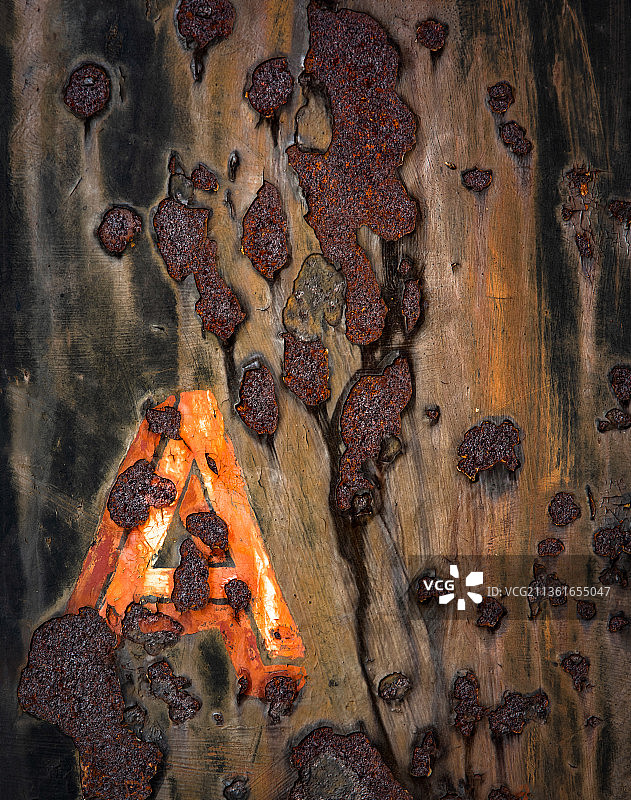 英国纽顿格兰奇木材的特写镜头图片素材