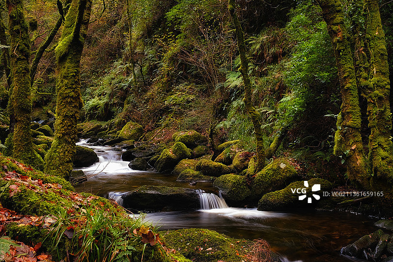 神秘的树林，爱尔兰马克罗斯的瀑布风景图片素材