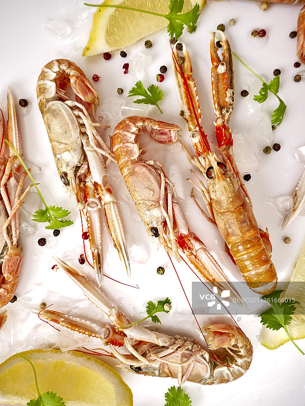 新鲜海螯虾与香菜柠檬图片素材