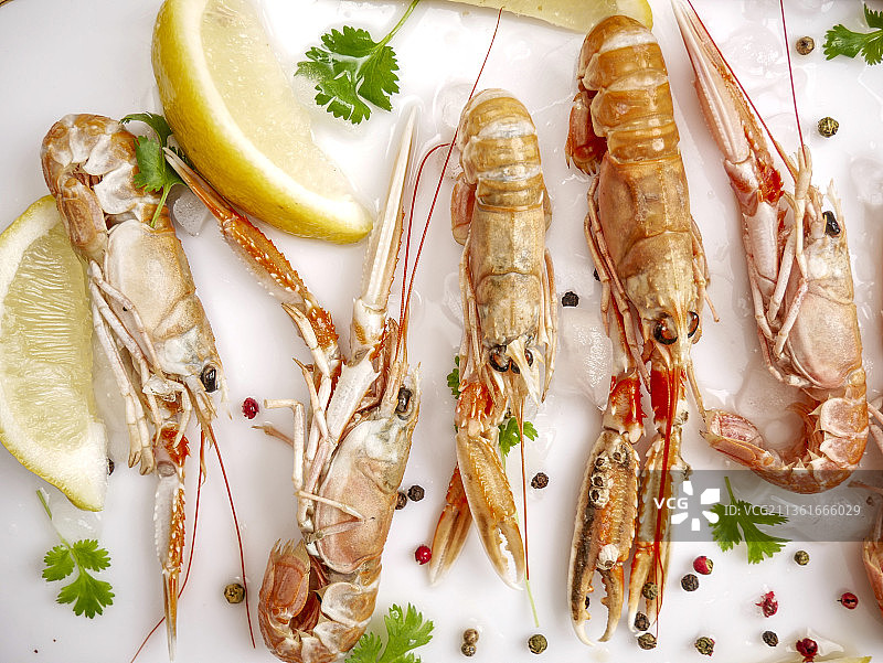新鲜海螯虾与香菜柠檬图片素材