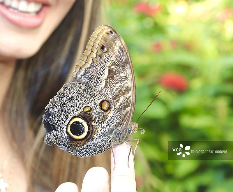 蝴蝶，女人身上的蝴蝶特写图片素材