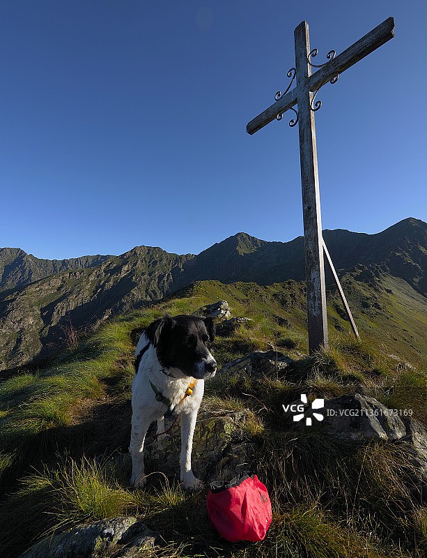 我和Stuz及Pippo在意大利韦尔切利里梅拉徒步图片素材
