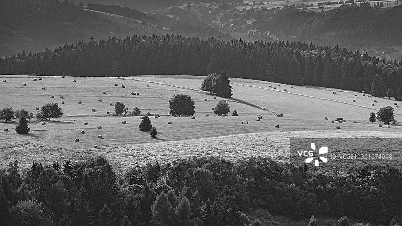 波兰夏末田野风光图片素材